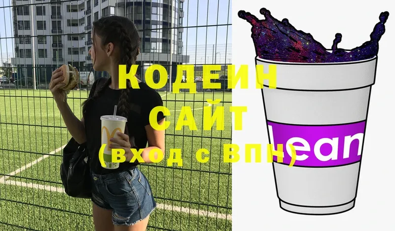 купить закладку  Злынка  Кодеин Purple Drank 